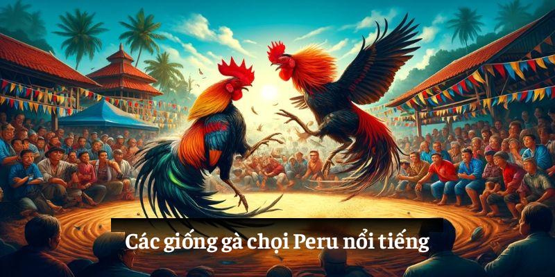Các giống gà chọi Peru nổi tiếng