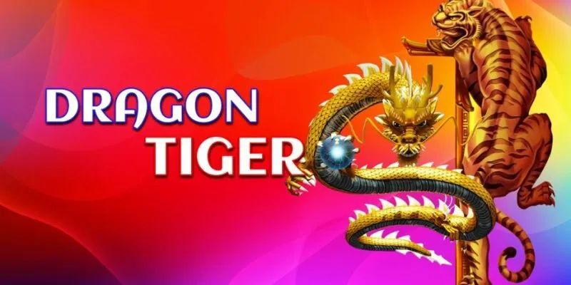 rồng hổ online