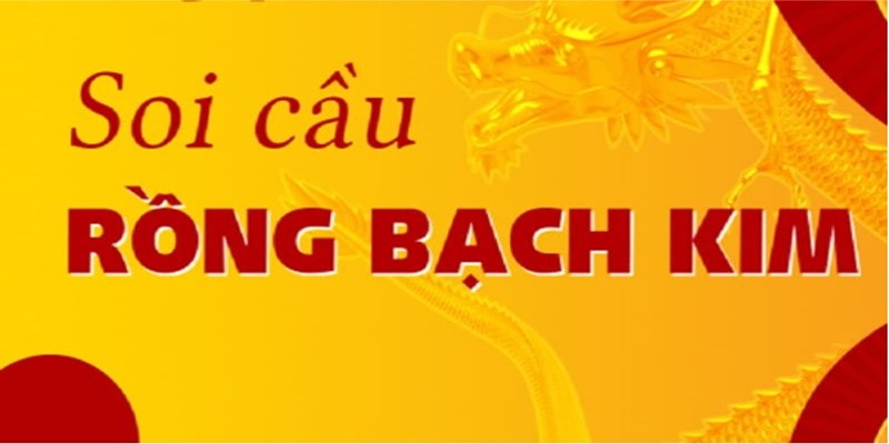 Bạn nên xem bản cập nhật mới nhất của Rồng Bạch Kim để dùng