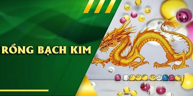 Rồng Bạch Kim là công cụ được ww88 cung cấp để soi cầu xổ số