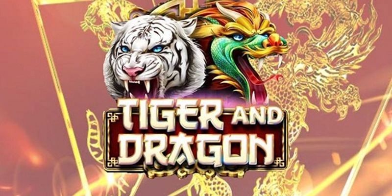 Mọi người cần phải nắm rõ các quy định tính điểm khi chơi cược