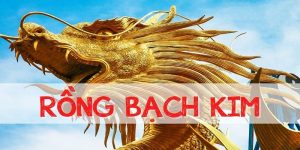 rồng bạch kim avatar